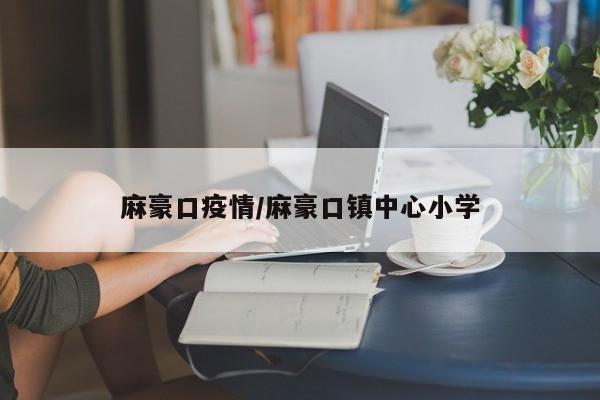麻豪口疫情/麻豪口镇中心小学